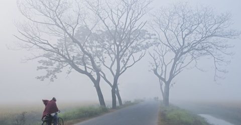 তেঁতুলিয়ায় সর্বনিম্ন তাপমাত্রা ৭ ডিগ্রি সেলসিয়াস