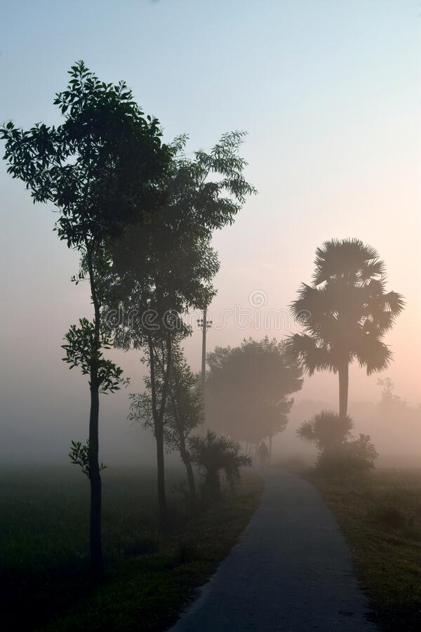 বৃষ্টি সঙ্গে,ফের আসছে শৈত্যপ্রবাহ