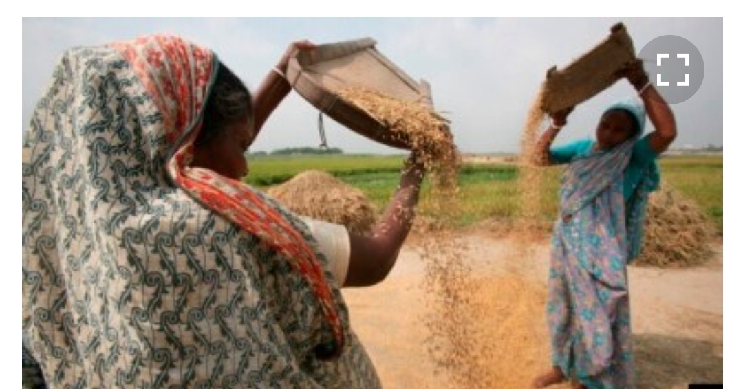 চলতি মওসুমে খাদ্যশস্য সংগ্রহ করা হবে সাড়ে ১৭ লাখ টন ঃ খাদ্যমন্ত্রী সাধন চন্দ্র মজুমদার।