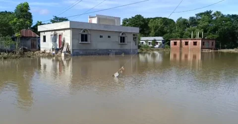 ব্রাহ্মণবাড়িয়ায় বন্যা পরিস্থিতির উন্নতি