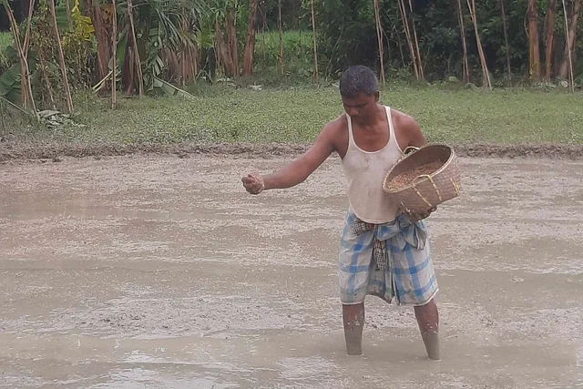 আশায় বুক বেঁধে মাঠে নামছেন কৃষক