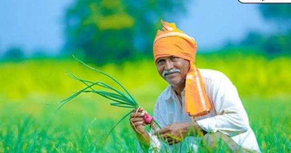 টাংগাইলের কালিহাতীতে কৃষক-কৃষাণী প্রশিক্ষণ অনুষ্ঠিত